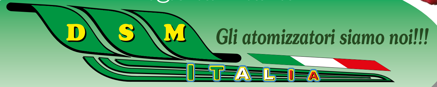 Logo DSM