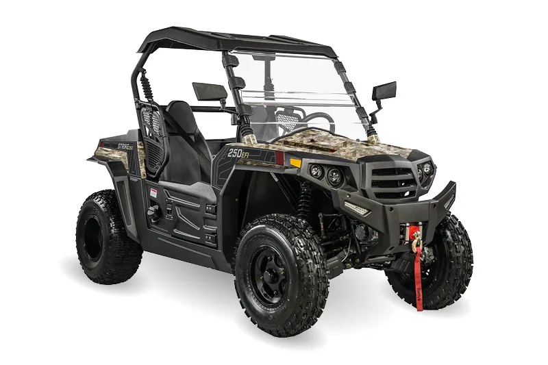 Hisun Strike 250