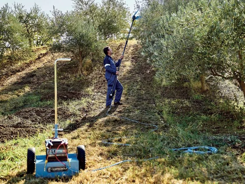 Campagnola ELEKTRA