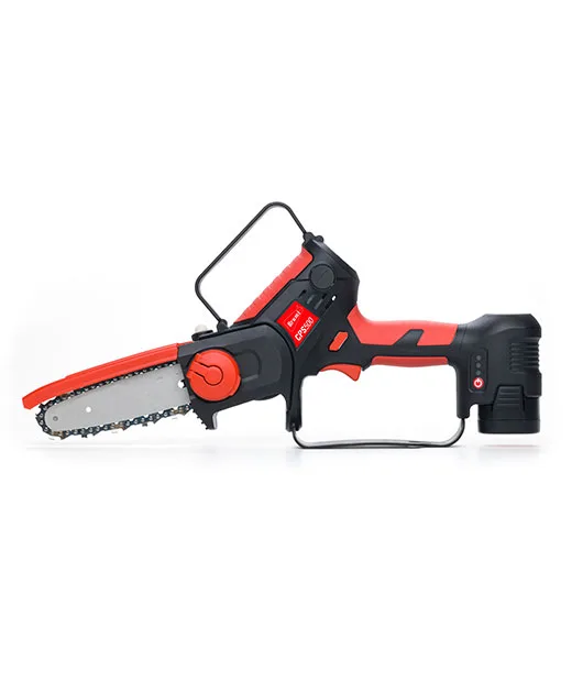 Brumi CPS500