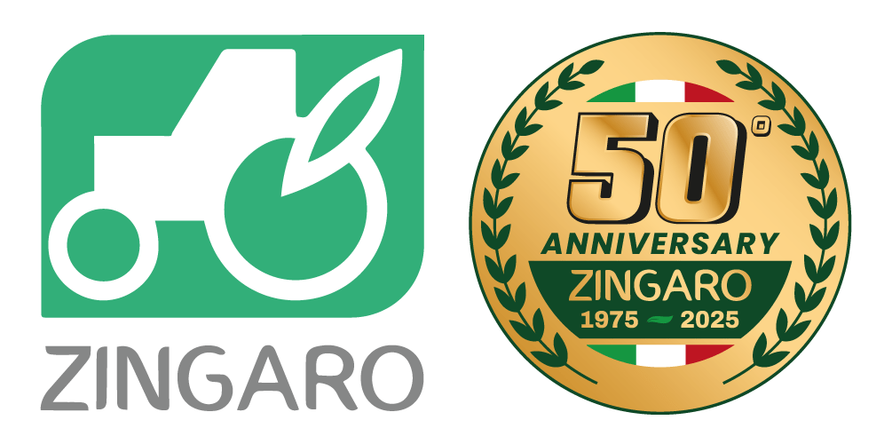 Logo Zingaro