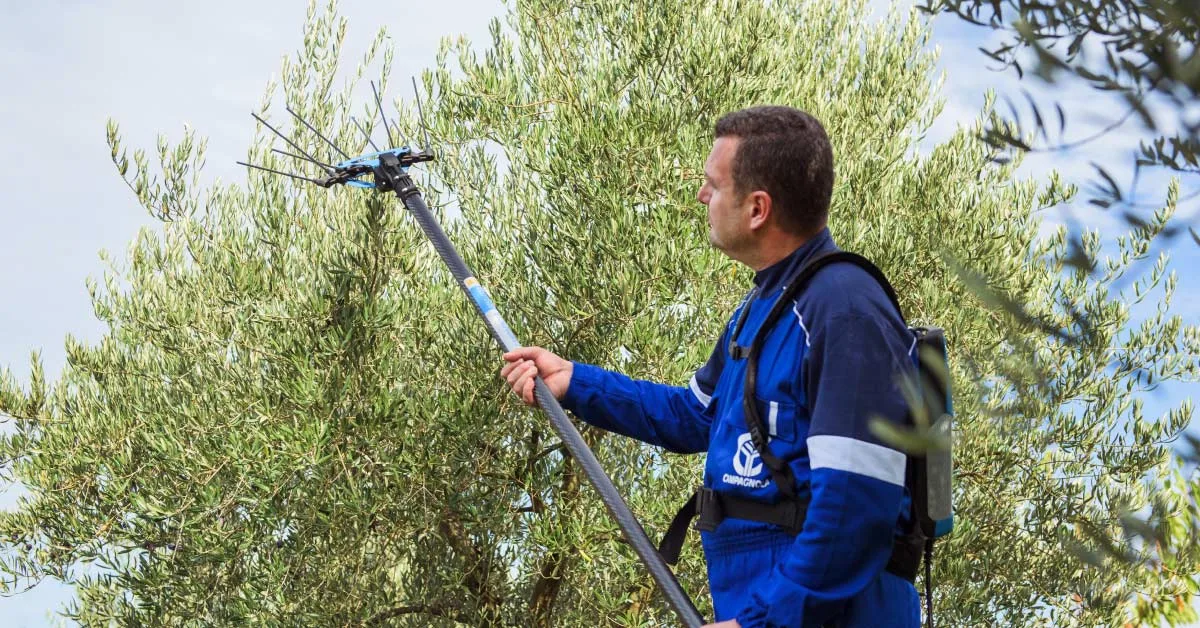 Campagnola PROFESSIONAL Line
