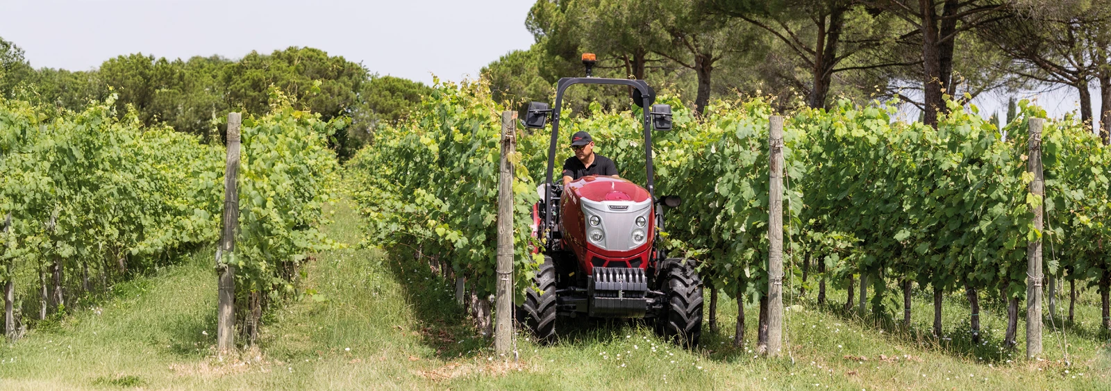 McCormick X4F PLAT — immagine ufficiale del modello o della gamma