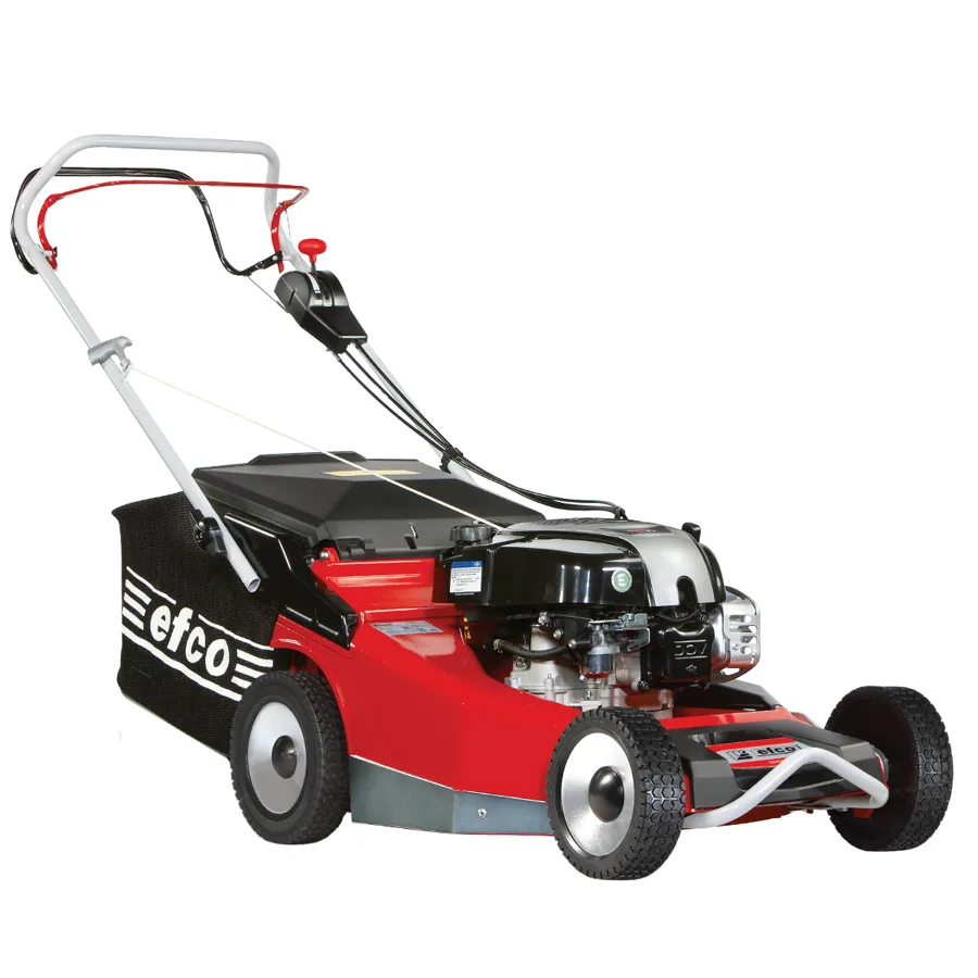 Efco MR 55 TBD