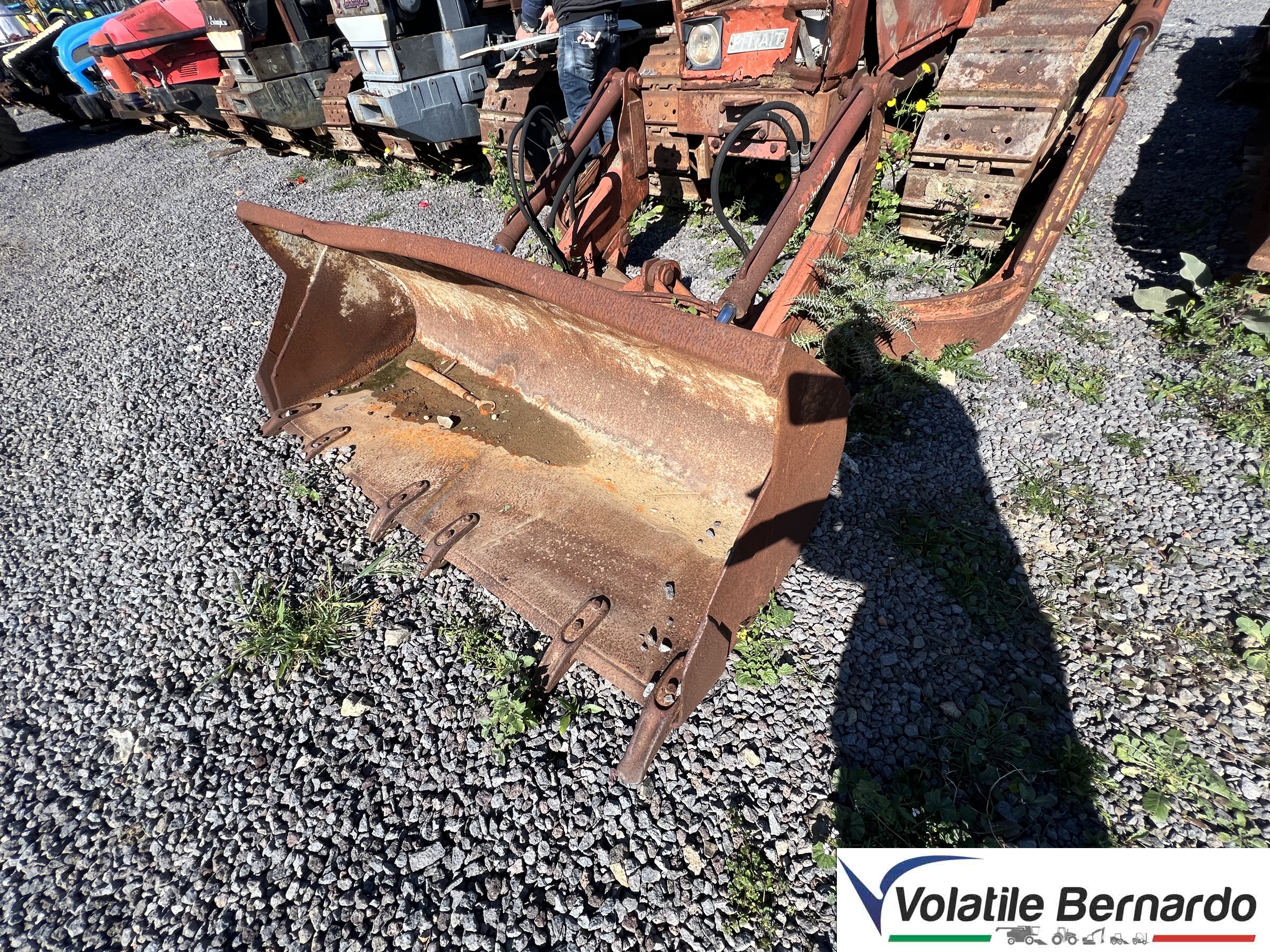 FIAT AGRI 855C Trattore Cingolato Usato