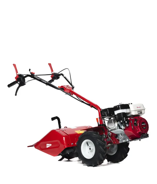 Brumi MCL 323