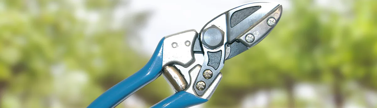 Campagnola Potatura Manuale